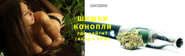 винт Богданович